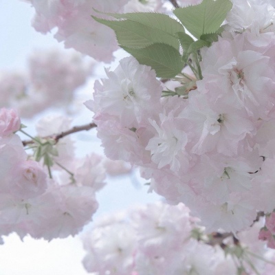 Furry插画光影处理技巧FurryQQ群